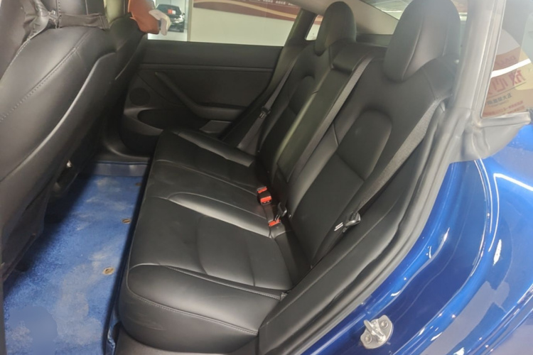 Tesla Model 3 2021 car image #17