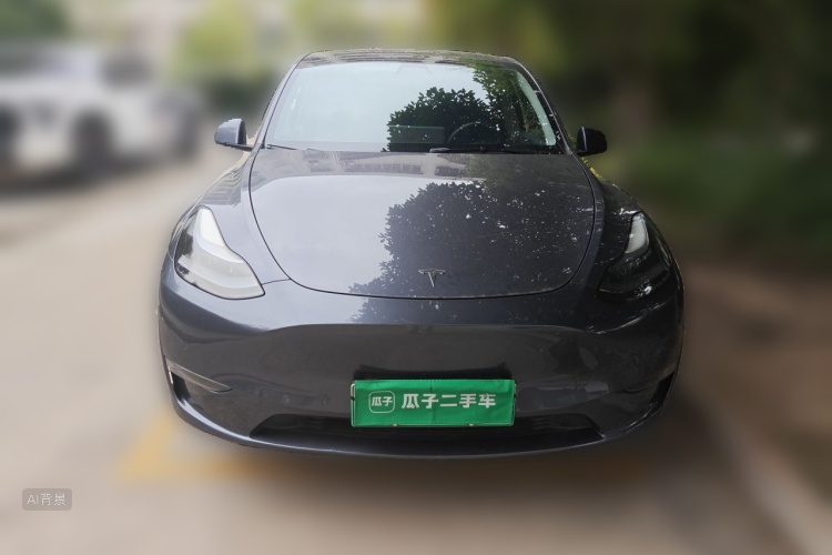 Tesla Model Y 2021 #3 Tesla Model Y 2021 صورة سيارة #3