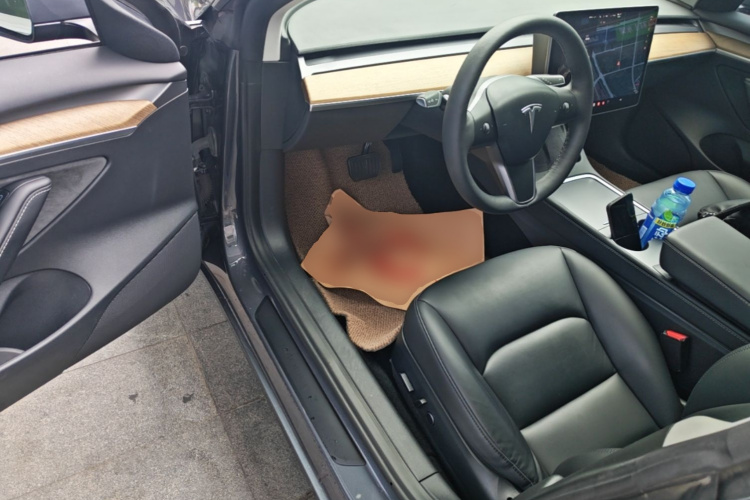 Tesla Model 3 2021 #16 Tesla Model 3 2021 car image #16