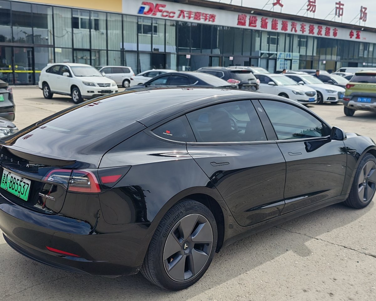 Tesla Model 3 2022 #3 Tesla Model 3 2022 car image #3