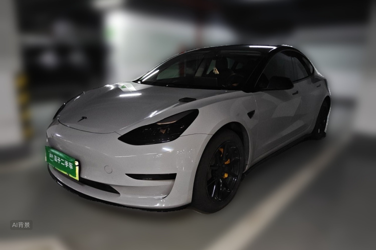 Tesla Model 3 2023 #2 Tesla Model 3 2023 car image #2