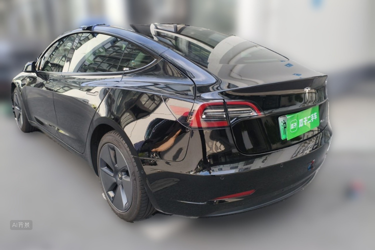 Tesla Model 3 2021 car image #5