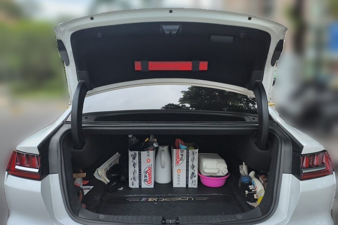 BYD Han 2021 #8 BYD Han 2021 imagen de coche #8