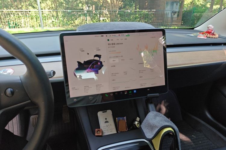 Tesla Model 3 2021 #13 Tesla Model 3 2021 car image #13