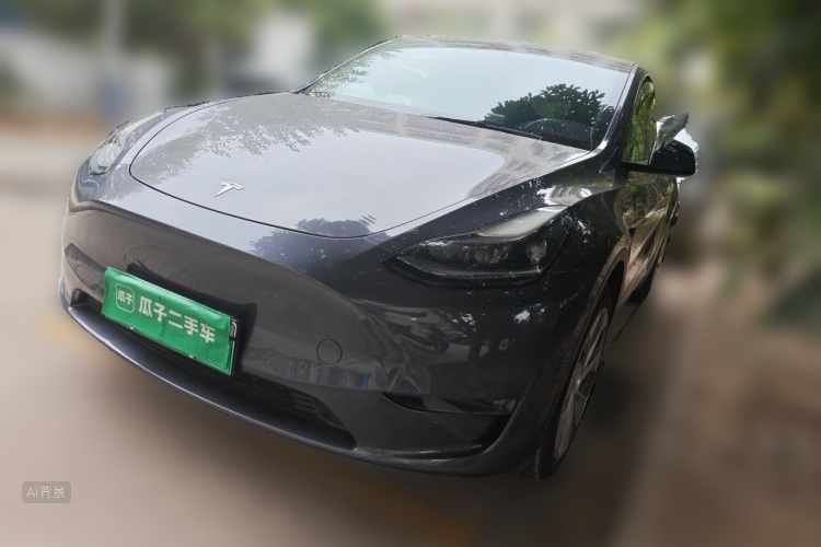 Tesla Model Y 2021 #2 Tesla Model Y 2021 صورة سيارة #2