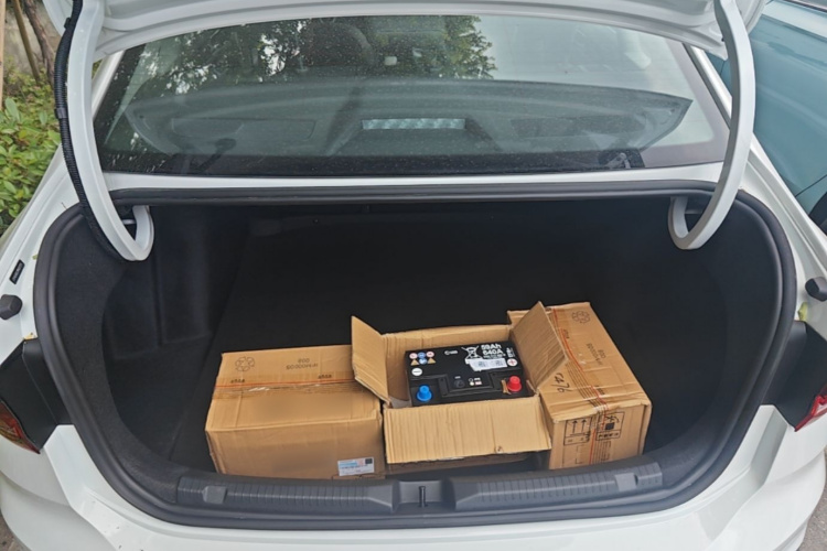 Volkswagen Lavida 2024 car image #19