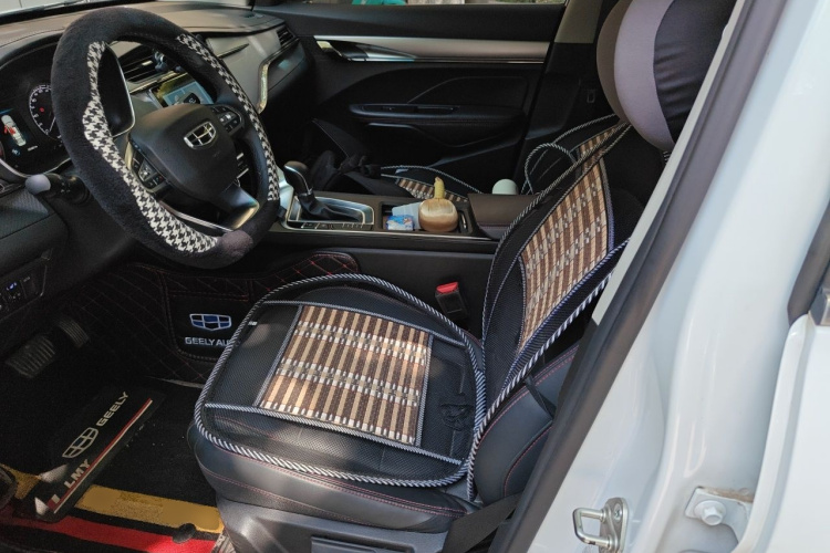 GEELY Binray 2020 image de voiture #15