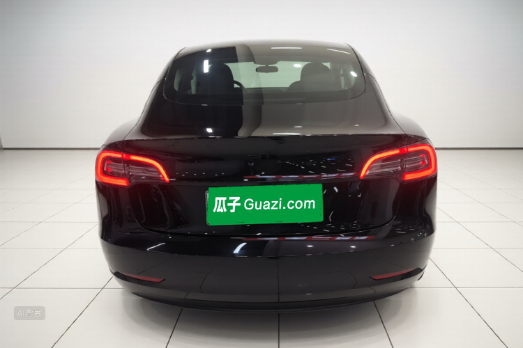 Tesla Model 3 2021 #6 Tesla Model 3 2021 car image #6