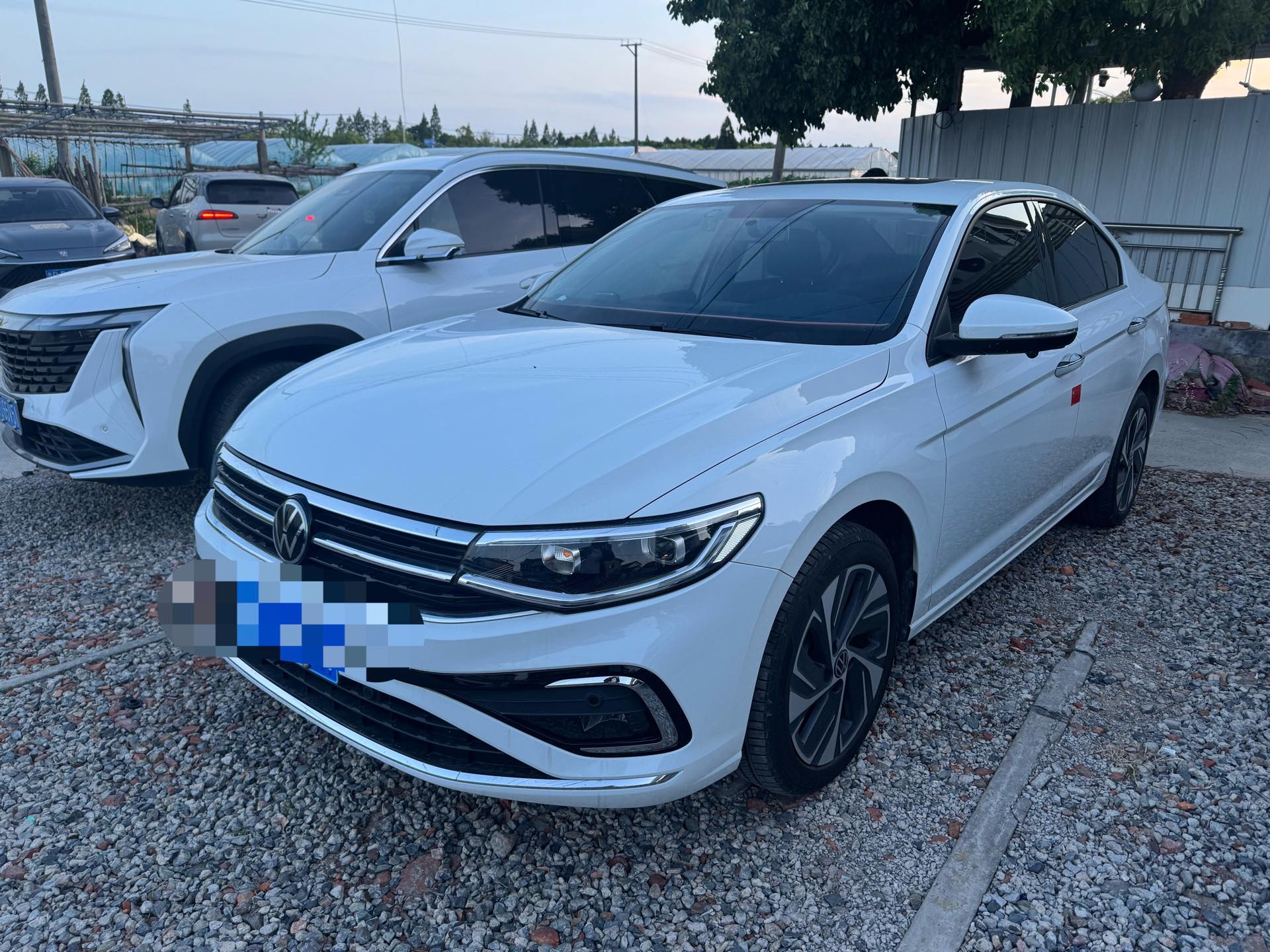 Volkswagen Bora 2024 car image 