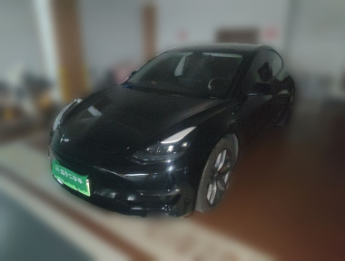 Tesla Model 3 2022 car image 