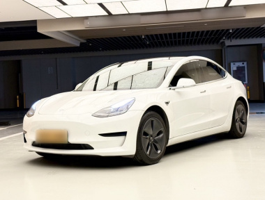 Tesla Model 3 2020 car image 