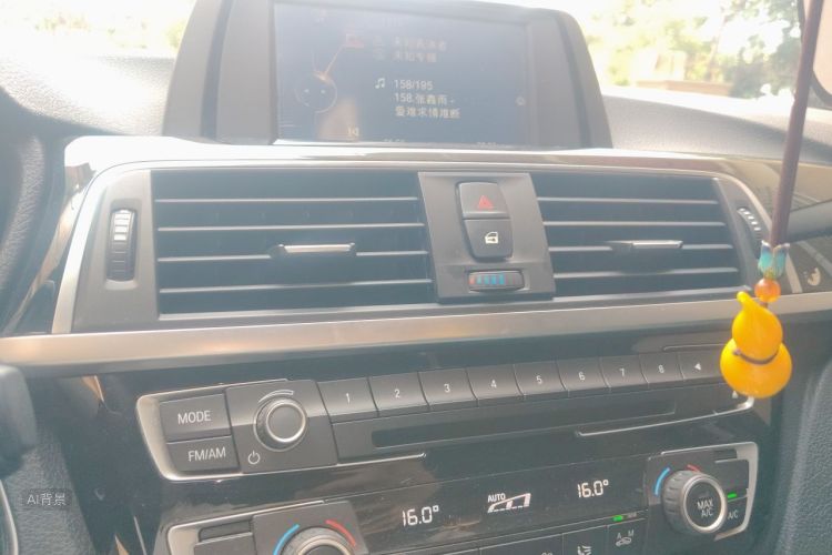 BMW 3 Series 2016 car image #15