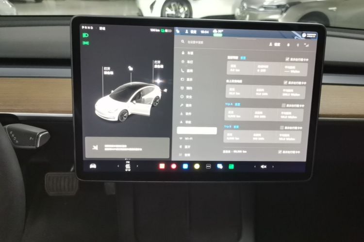 Tesla Model 3 2021 car image #13