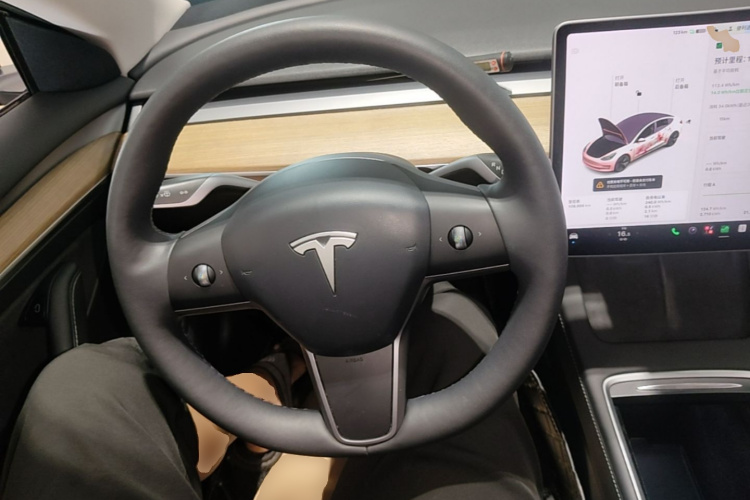 Tesla Model 3 2021 #11 Tesla Model 3 2021 car image #11