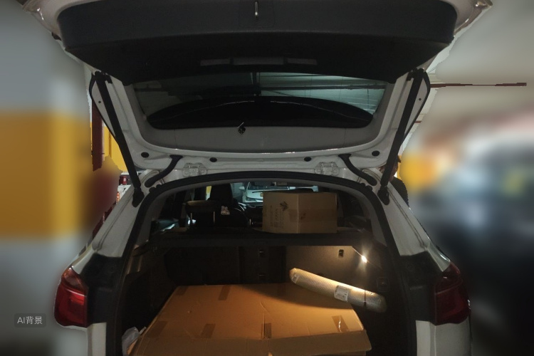 BMW X1 2018 car image #21