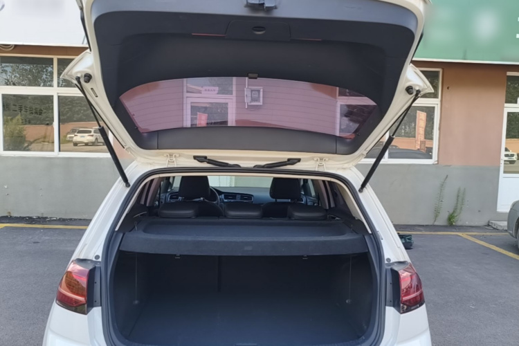 Volkswagen Golf 2019 #21 Volkswagen Golf 2019 car image #21
