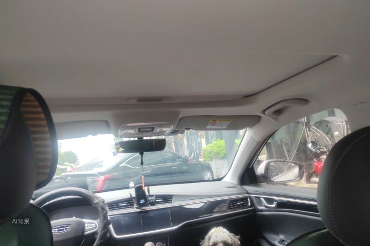 GEELY Emgrand GL 2021 imagem de carro #20