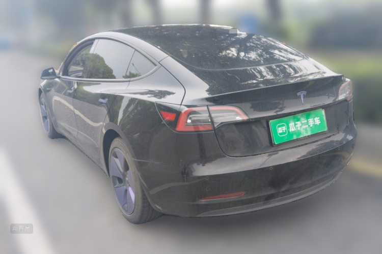 Tesla Model 3 2021 #5 Tesla Model 3 2021 car image #5