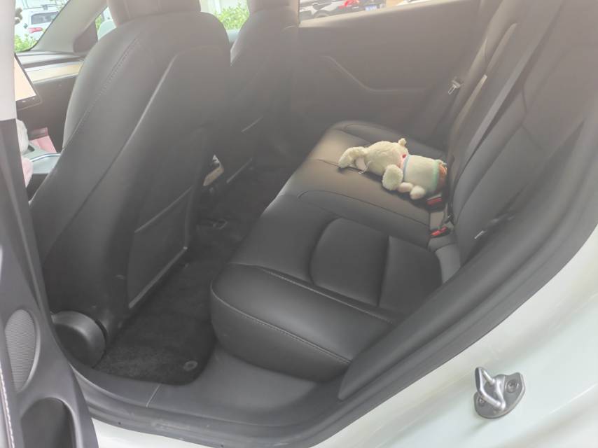 Tesla Model 3 2022 #7 Tesla Model 3 2022 car image #7