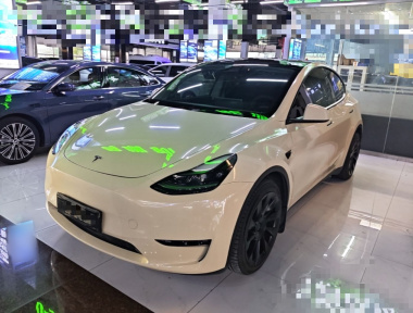Tesla Model Y 2021 Tesla Model Y 2021 car image