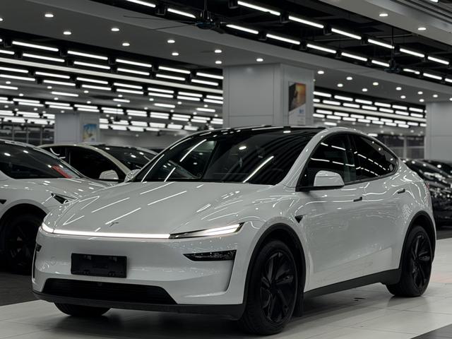 Tesla Model Y 2025 car image #18