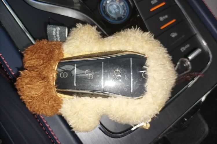 BYD Yuan Plus 2022 car image #9