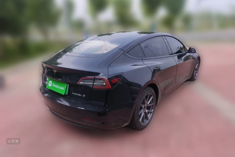 Tesla Model 3 2021 car image #7