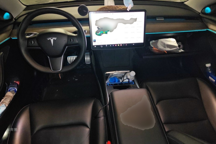 Tesla Model 3 2021 car image #11