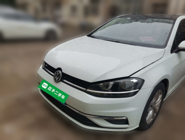 Volkswagen Golf 2019 car image 