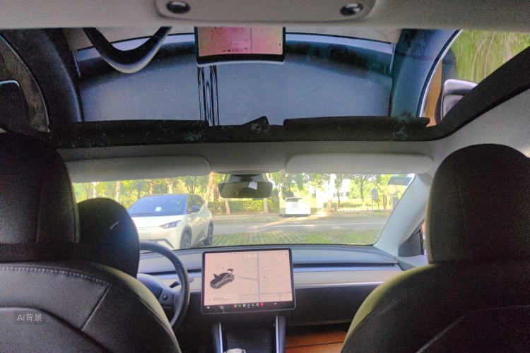 Tesla Model 3 2020 car image #20