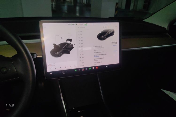 Tesla Model 3 2020 #15 Tesla Model 3 2020 car image #15