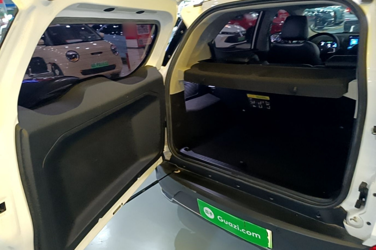 BYD Yuan New Energy 2020 car image #19