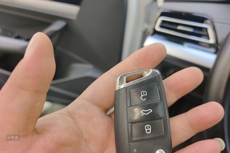 Volkswagen Lavida 2023 car image #10