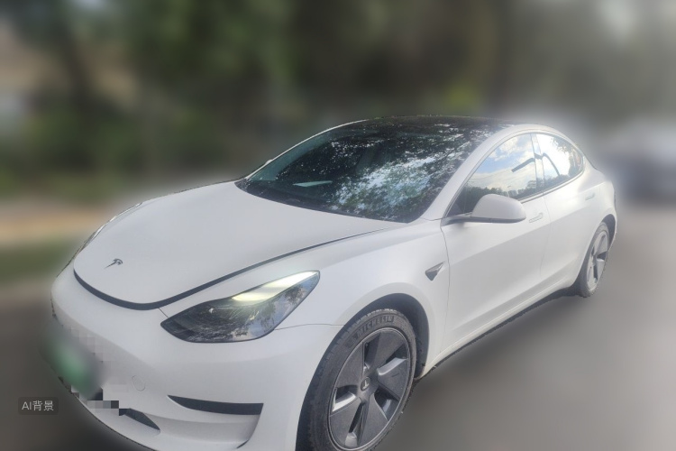 Tesla Model 3 2023 #2 Tesla Model 3 2023 car image #2
