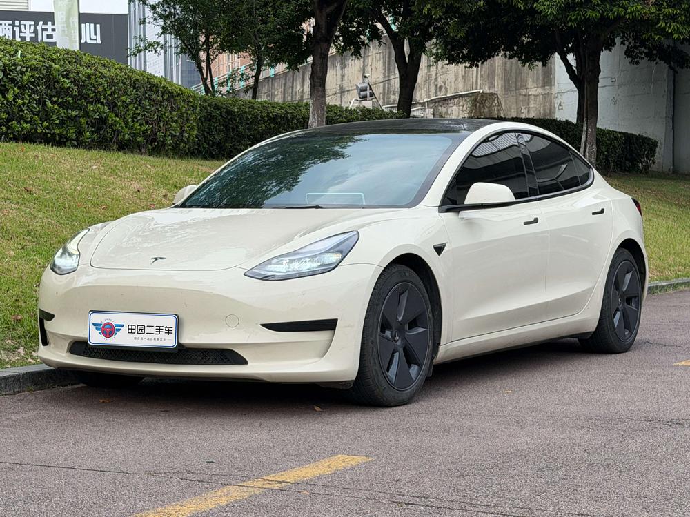 Tesla Model 3 2023 car image 