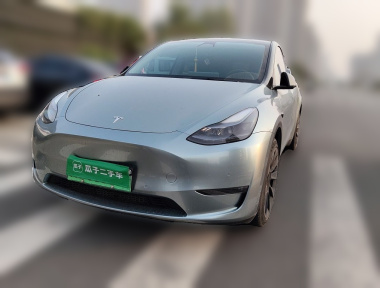 Tesla Model Y 2023 Tesla Model Y 2023 car image