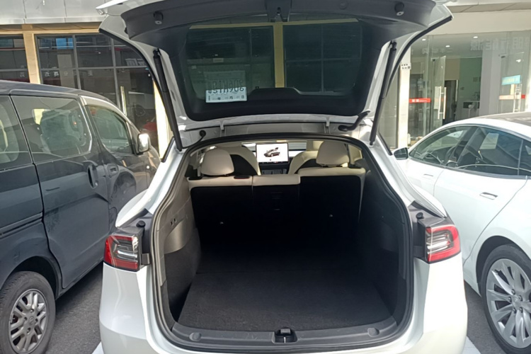 Tesla Model Y 2023 car image #19