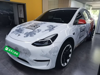 Tesla Model Y 2023 car image 