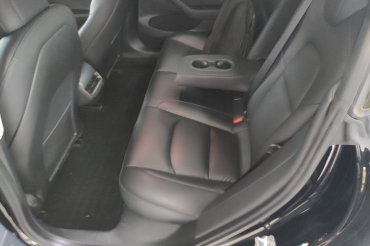 Tesla Model 3 2021 car image #17
