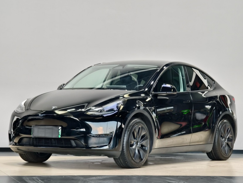 Tesla Model Y 2024 Tesla Model Y 2024 car image