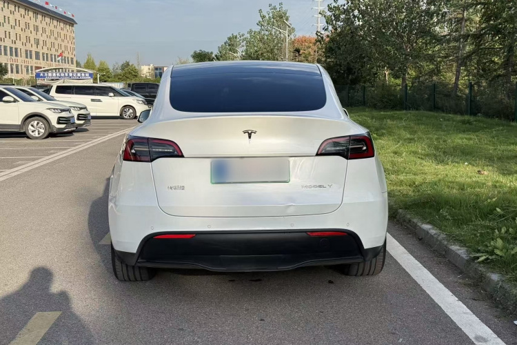Tesla Model Y 2022 #6 Tesla Model Y 2022 car image #6