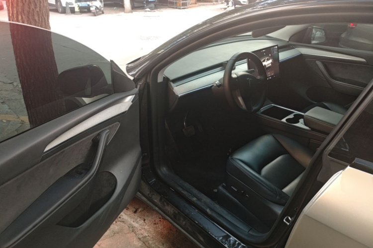 Tesla Model Y 2023 car image #16