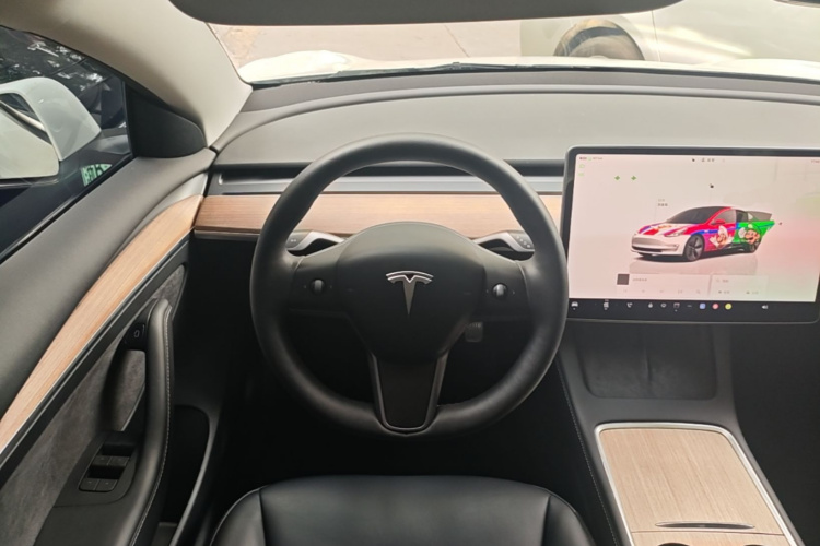 Tesla Model 3 2022 immagine di auto #11