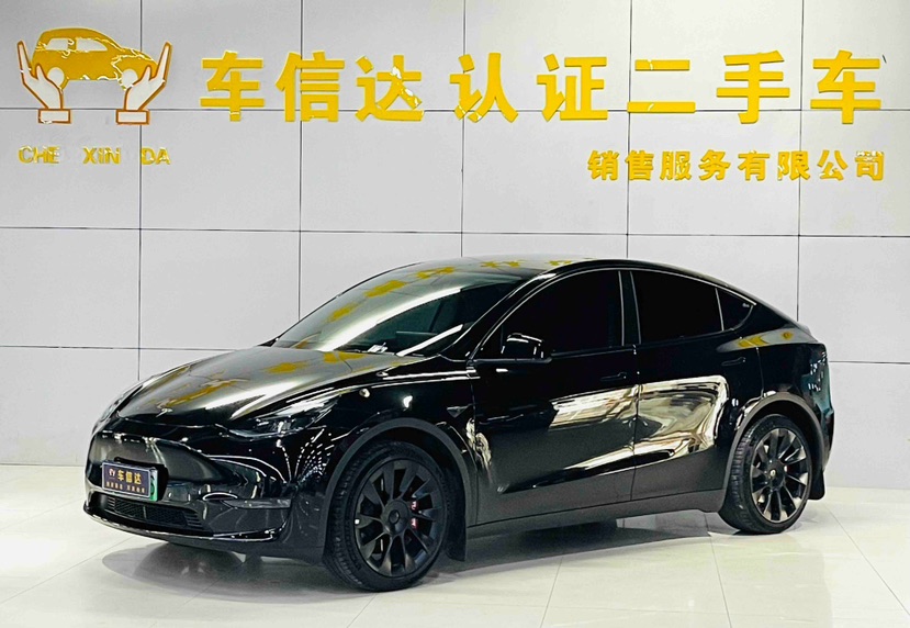 Tesla Model Y 2022 Tesla Model Y 2022 car image