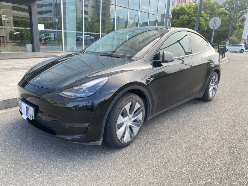 Tesla Model Y 2021 Tesla Model Y 2021 car image