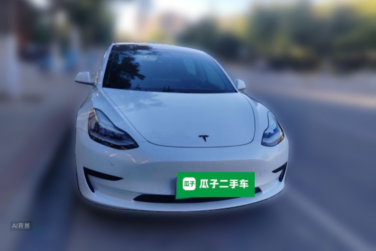 Tesla Model 3 2020 car image #3