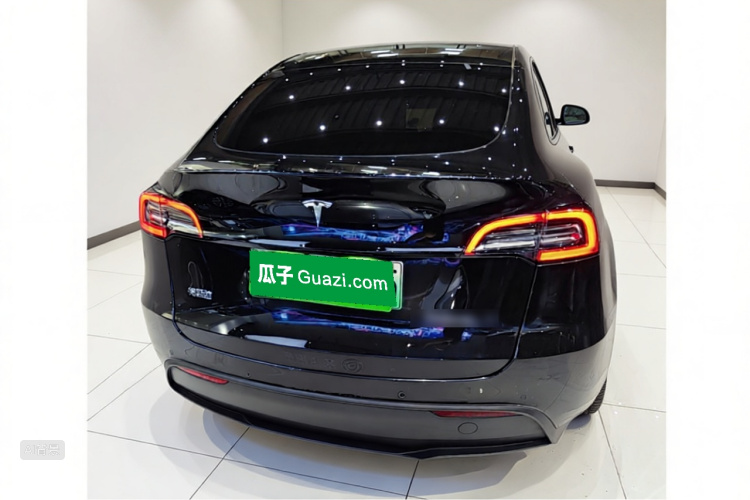 Tesla Model Y 2022 car image #6