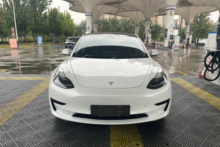 Tesla Model 3 2022 car image #6
