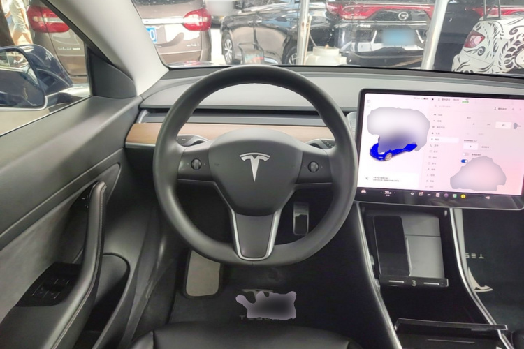Tesla Model 3 2020 car image #11