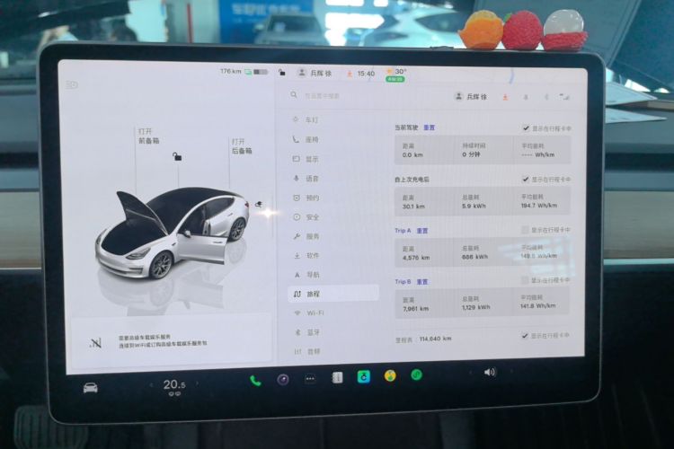 Tesla Model 3 2023 imagem de carro #12